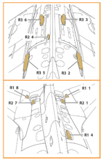 1/72 MiG-19P/PM Air intake for CP kits CPA72172 - Image 3