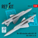 Kh-58U missiles with AKU-58 (2 pcs) (3D Printed) (1/48)